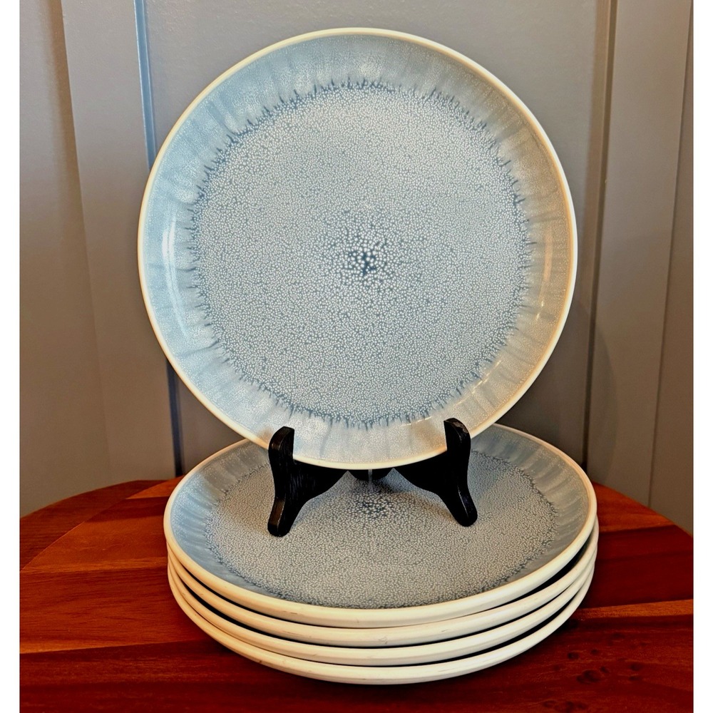 Set of 5 Pier 1 Blue/White speckle Dinner Plates Ironstone 10 5/8" Handpainted
